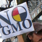032813_GMOs_MillionsAgainstMonsanto