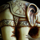 macro_elephant by Théo is licensed under CC BY 2.0