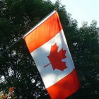 112983595_d8bc2f81ce