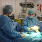 1351443113_ab9a963e7d_o