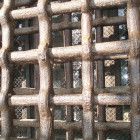 5416161601_86e9e4babe_z