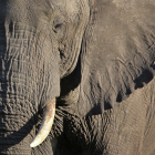 "Memories" by Steve Jurvetson is licensed under CC BY 2.0