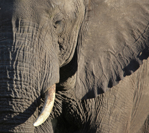 "Memories" by Steve Jurvetson is licensed under CC BY 2.0