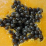 Papaya