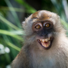 Image Credit: Rushen (Flickr)