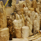 Image Credit: USFWF Mountain Prairie (Flickr)