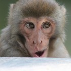 samuelrogers752 (Flickr)